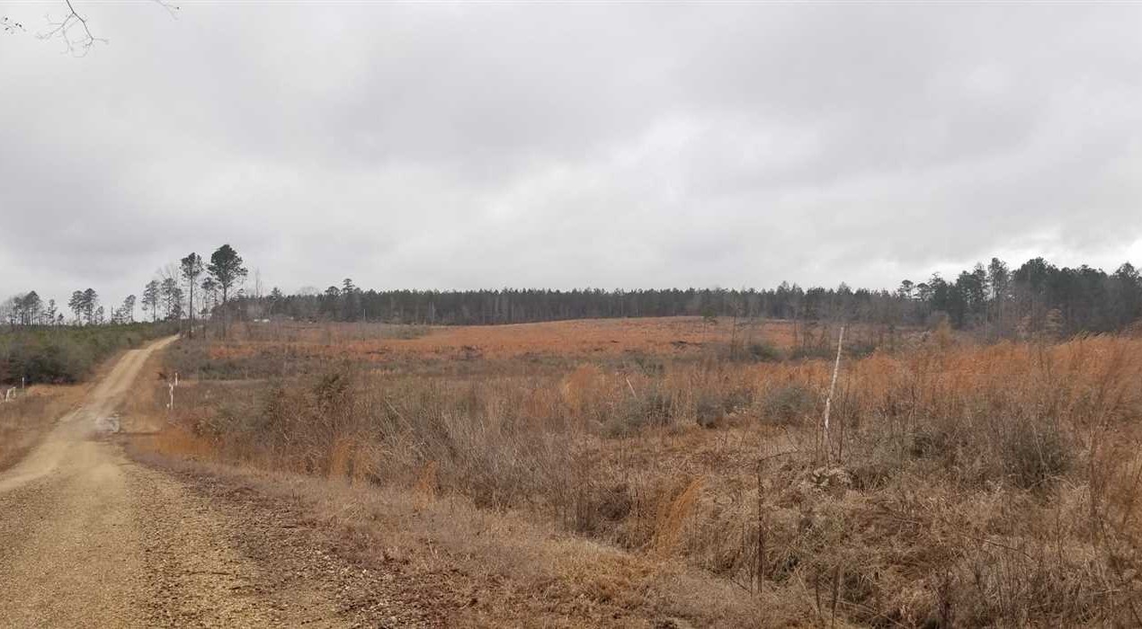 40 Acres of Land for Sale in winn County Louisiana