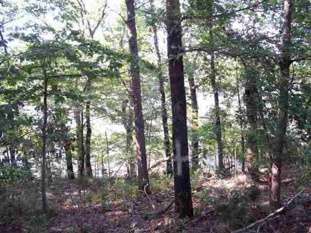 Timberland real estate available to buy