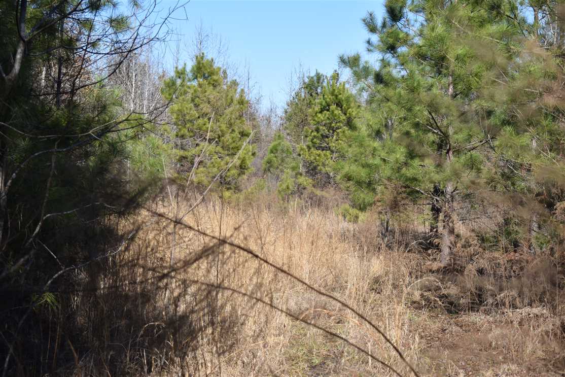 columbia County, Arkansas property for sale