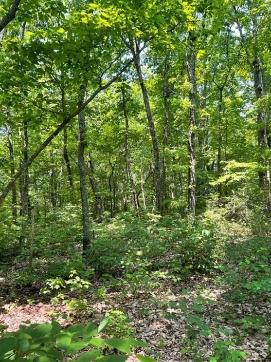 grundy County, Tennessee property for sale
