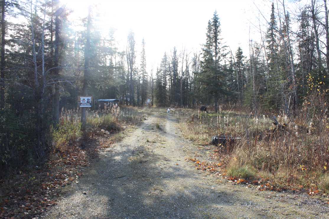 Build your Alaskan dream house in this quiet semi remote location. Real estate listing