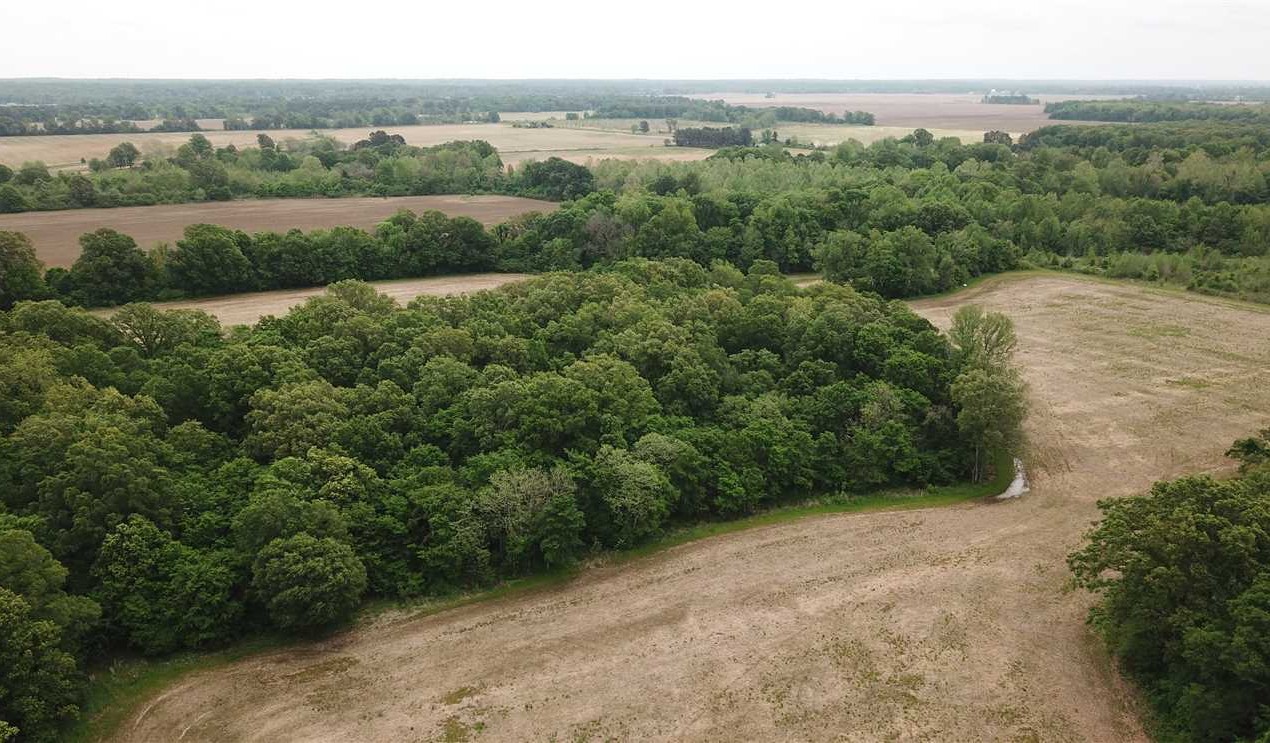 96 Acres of Land for sale in saint francis County, Arkansas