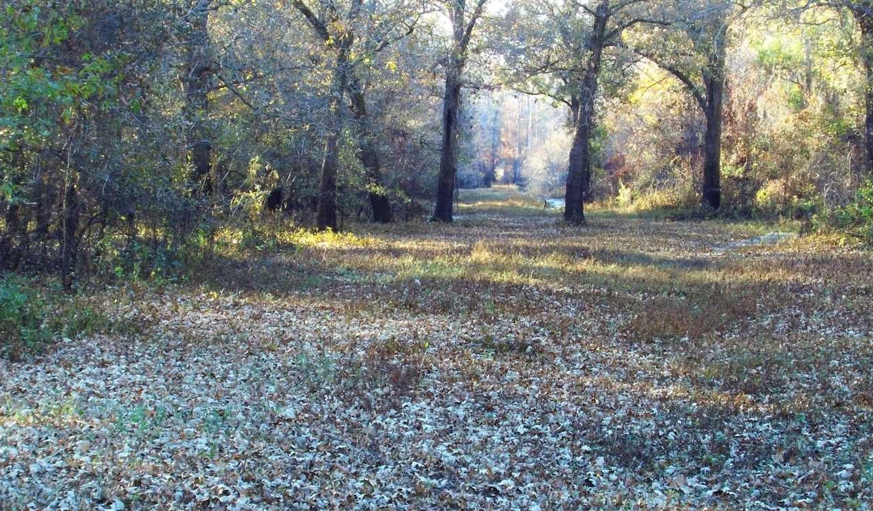 1640 Acres of Recreational land for sale in Bossier City, bossier County, Louisiana