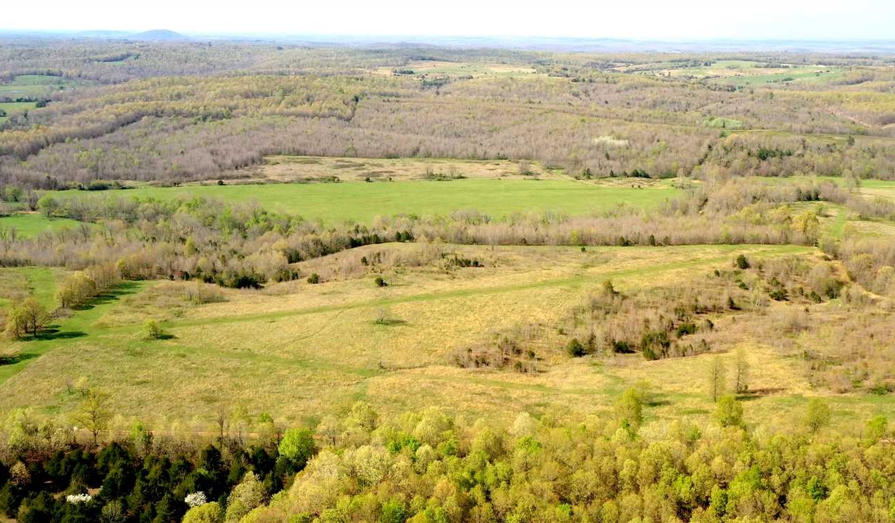 130 +/- Acres, Incredible Strawberry River Frontage, Hay fields, Pond, Road Frontage, Fulton County, AR Real estate listing