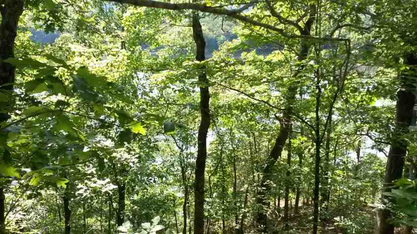 Land for sale to buy in 72501 zip code