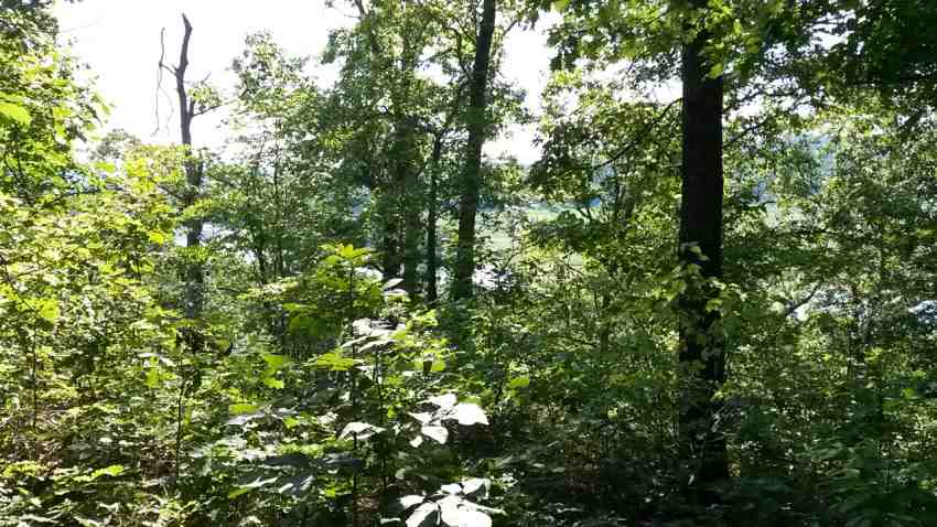 399 Acres of Land for sale in independence County, Arkansas