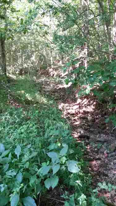 Houses and land for sale in Arkansas