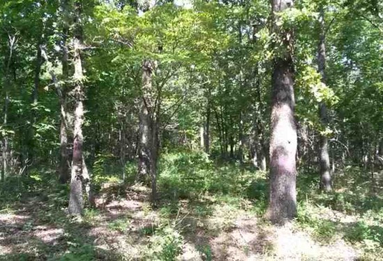 399 Acres of Land for Sale in independence County Arkansas