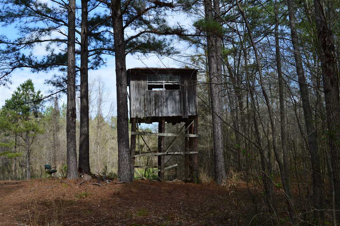 723 Acres of Land for sale in montgomery County, Mississippi