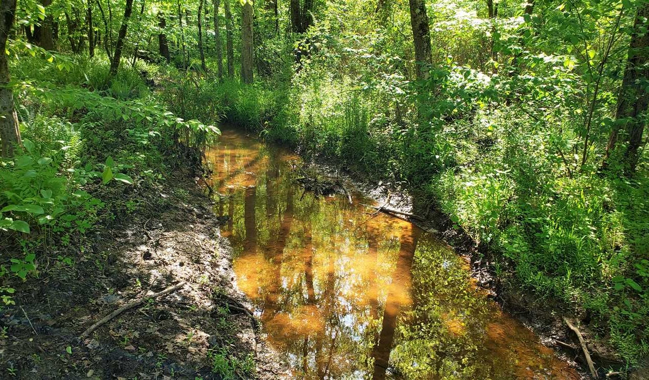 york County, South Carolina property for sale