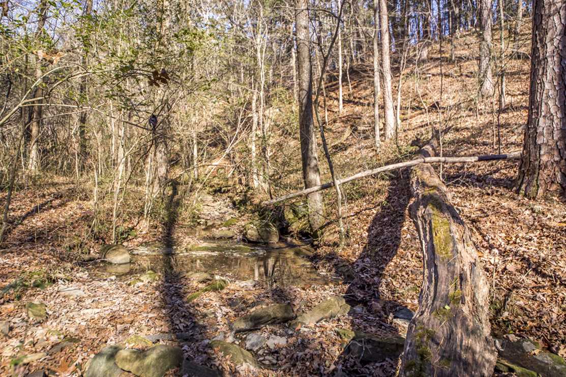 Land for sale to buy in 72031 zip code