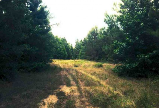 Recreational land real estate to buy in grant County LA