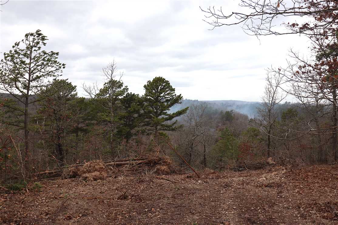 Land for sale to buy in 72632 zip code