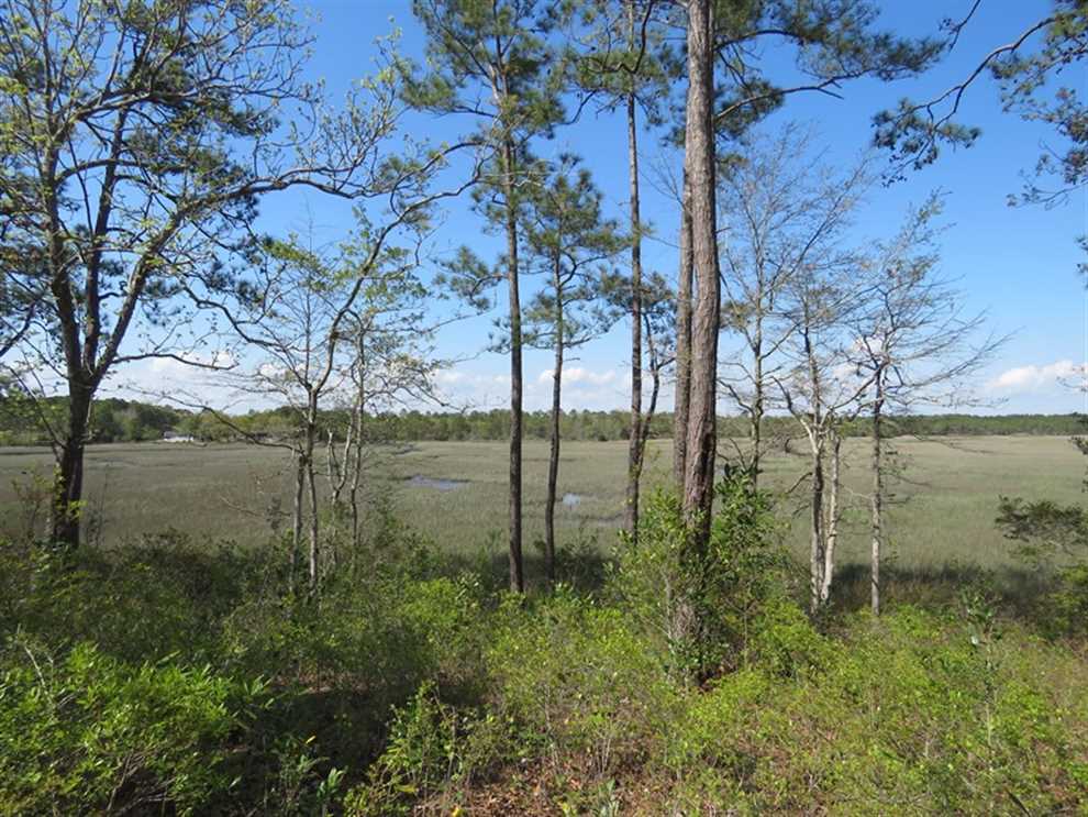 Houses and land for sale in North Carolina