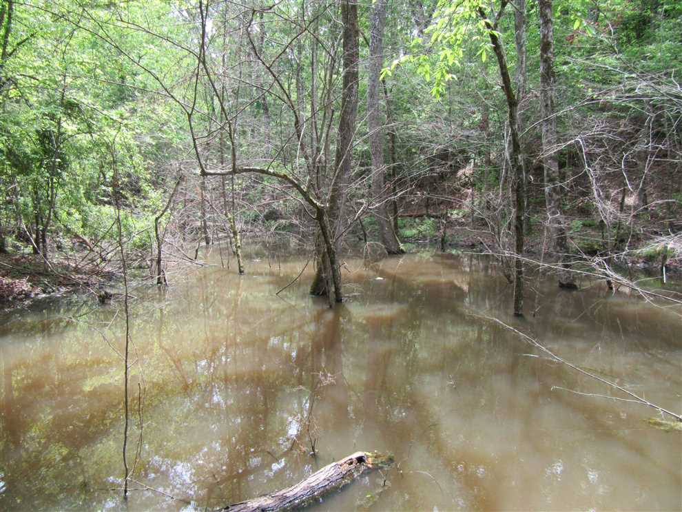 Property for sale at 952 Hwy 355W