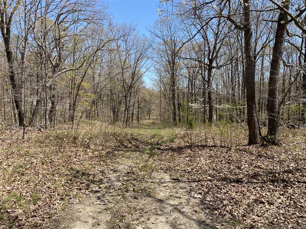Property for sale at TBD State Highway MM