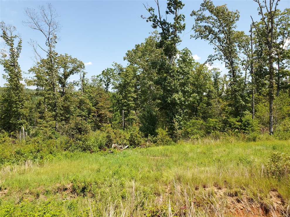 20 Acres of Residential land for sale in Clinton, van buren County, Arkansas