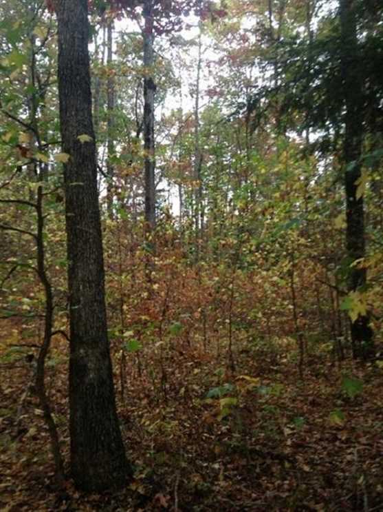 Houses and land for sale in Tennessee