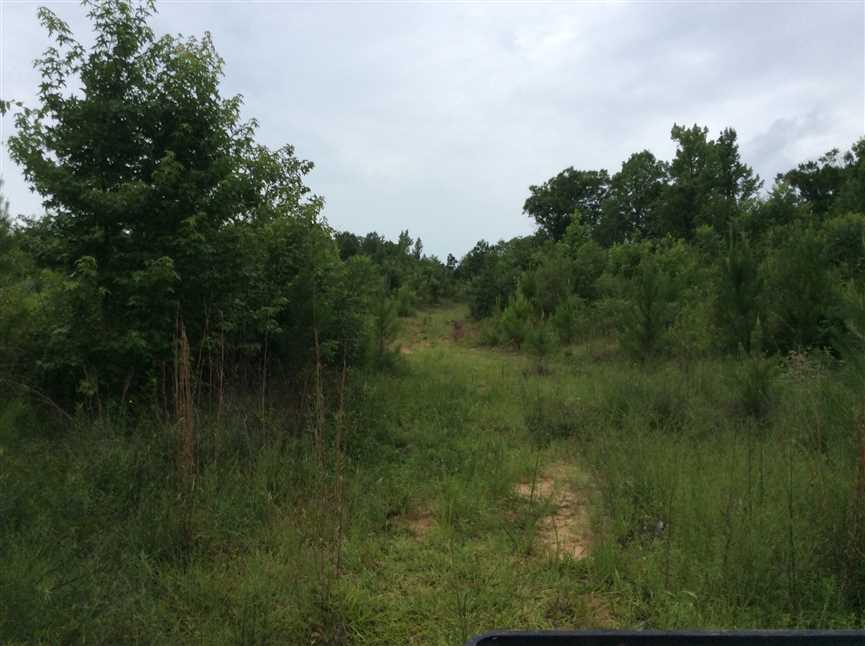 79.44 Acres of Recreational land for sale in Winnfield, winn County, Louisiana