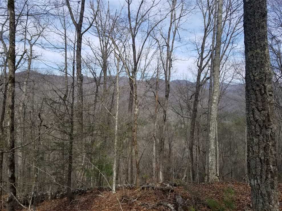 swain County, North Carolina property for sale