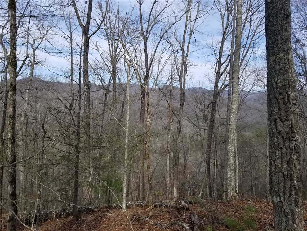 49 Acres of Land for Sale in swain County, North Carolina