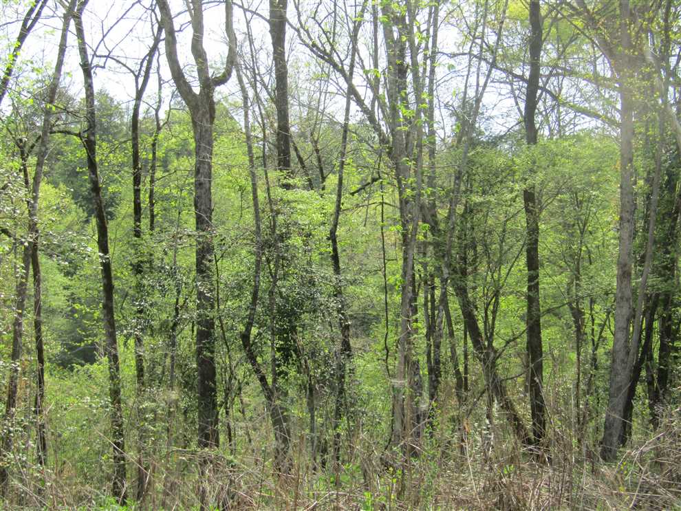 Residential and   property for sale on The Land Market