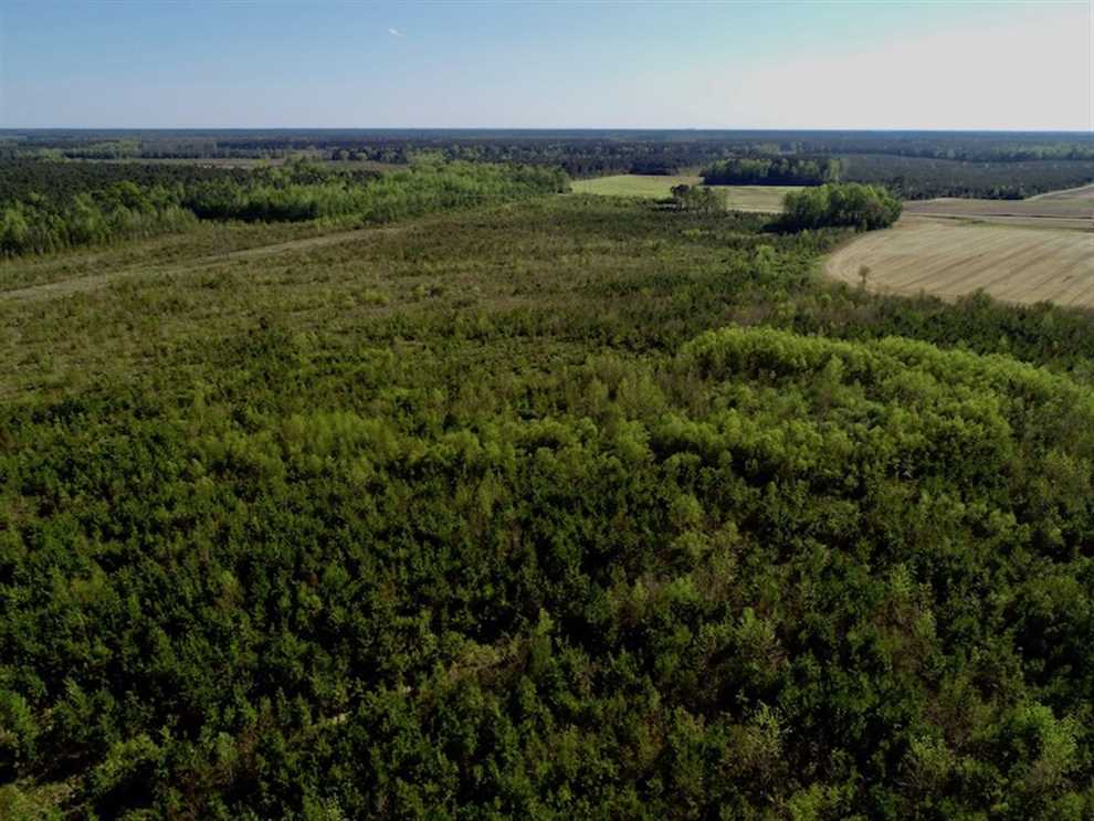Houses and land for sale in North Carolina