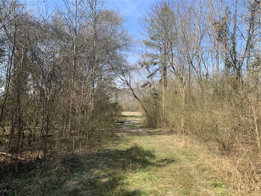 anson County, North Carolina property for sale