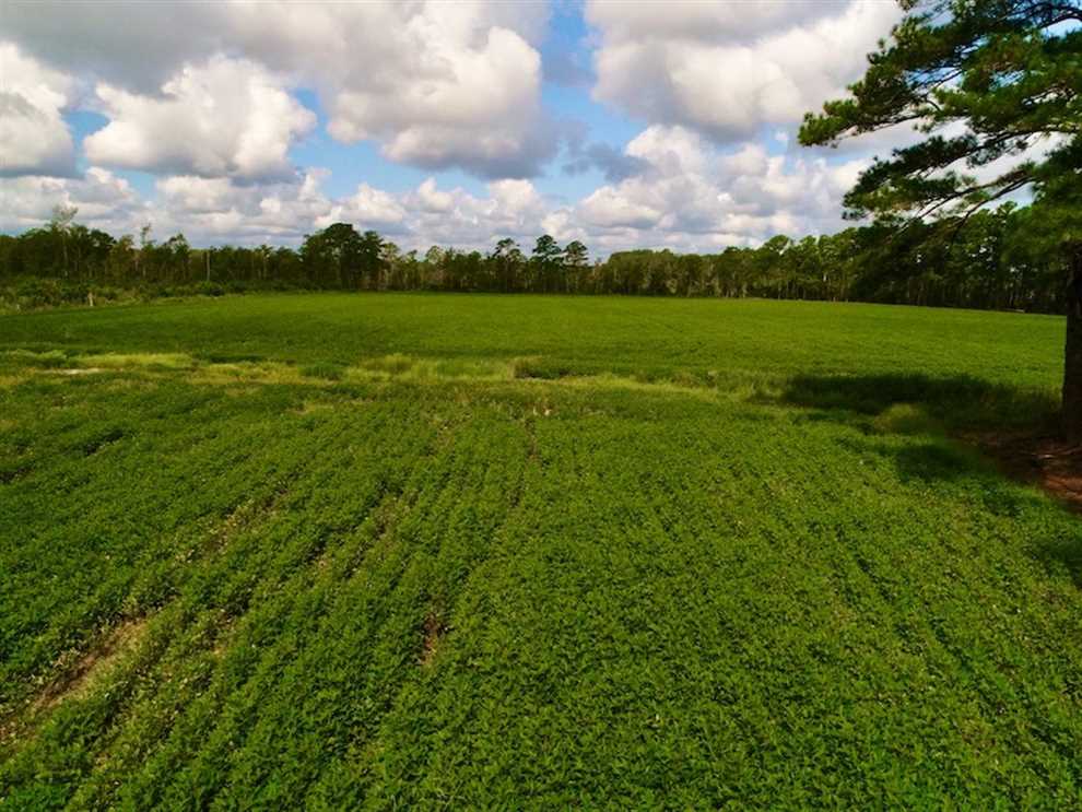 Houses and land for sale in North Carolina