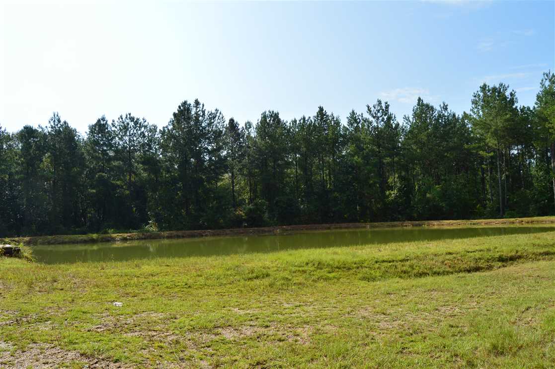 Timberland real estate available to buy