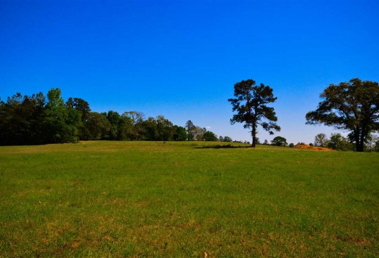 59 Acres of Land for Sale in nacogdoches County Texas
