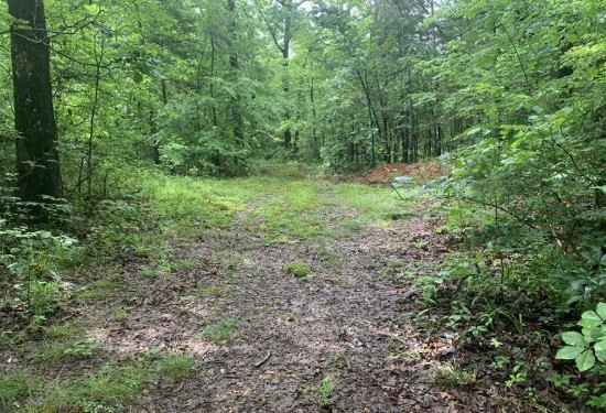 1 Acres of Land for Sale in cleburne County Arkansas