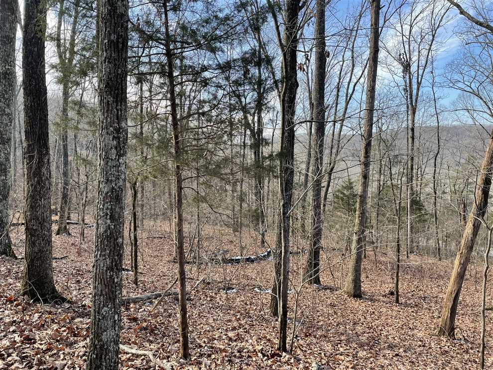 40 Acres of Land for sale in lawrence County, Alabama