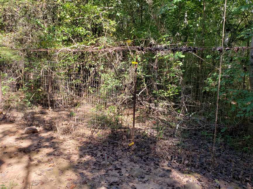 Land for sale to buy in 29745 zip code