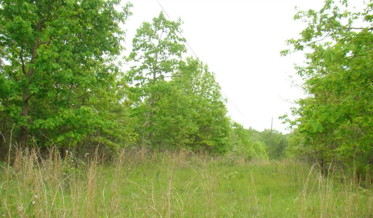 120 Acres of Land for sale in howell County, Missouri