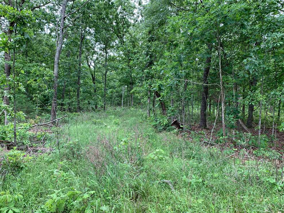 Houses and land for sale in Missouri