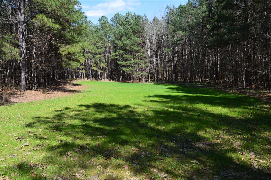 Timberland real estate available to buy