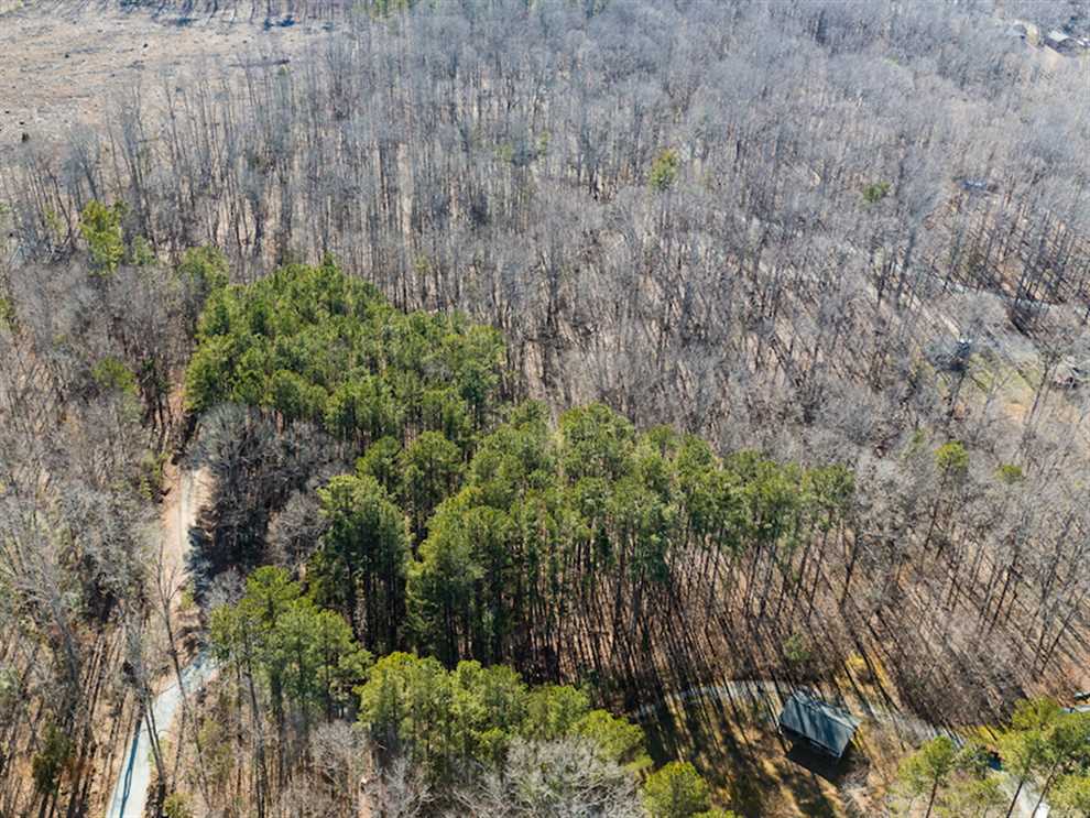 31.08 Acres of Land for sale in person County, North Carolina