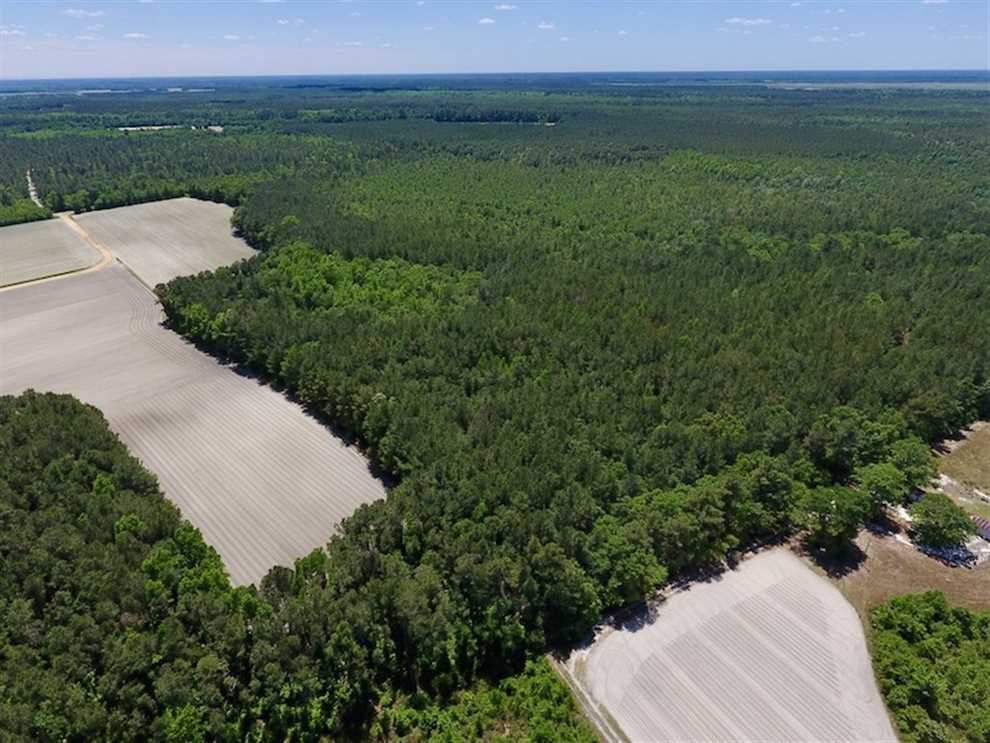 656 Acres of Land for sale in bladen County, North Carolina