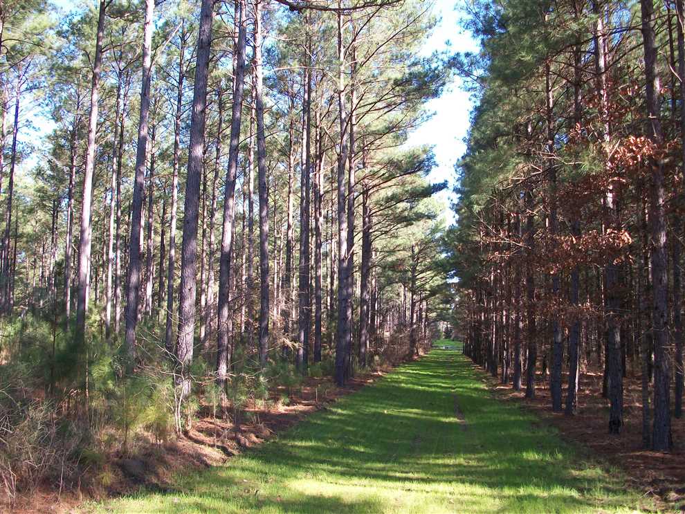 property for sale on The Land Market