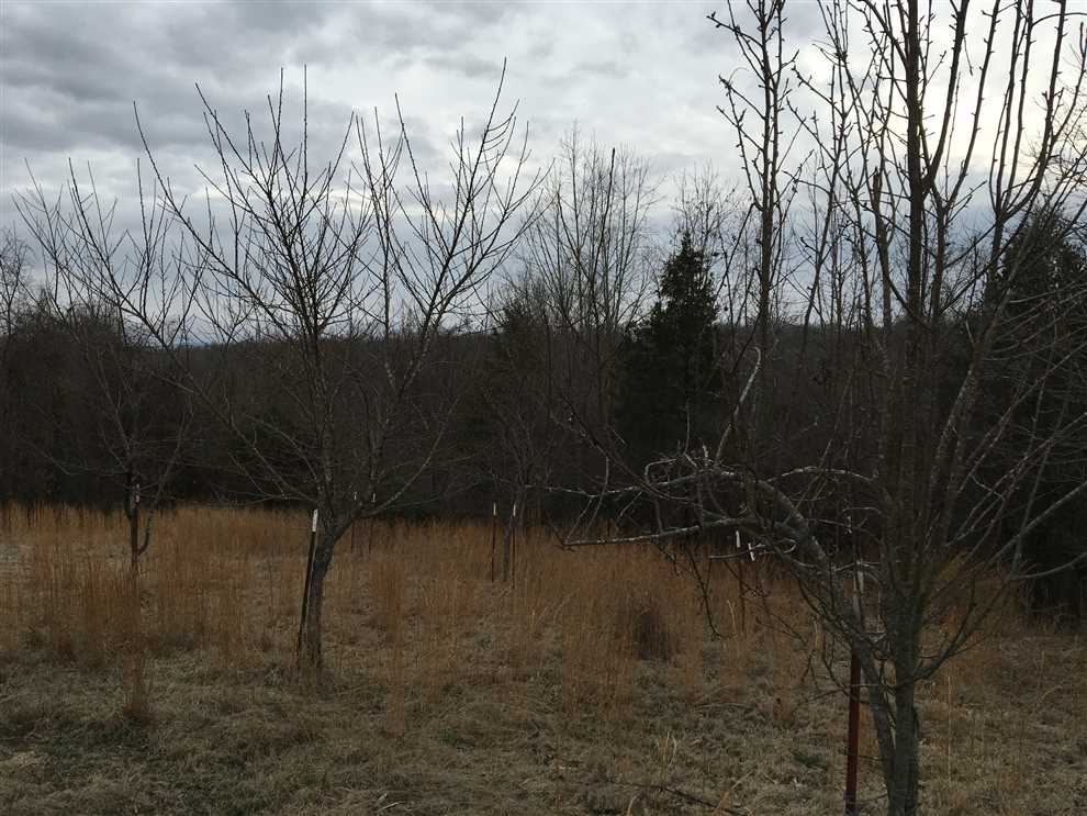5 +/- Acres, Batesville, AR Real estate listing