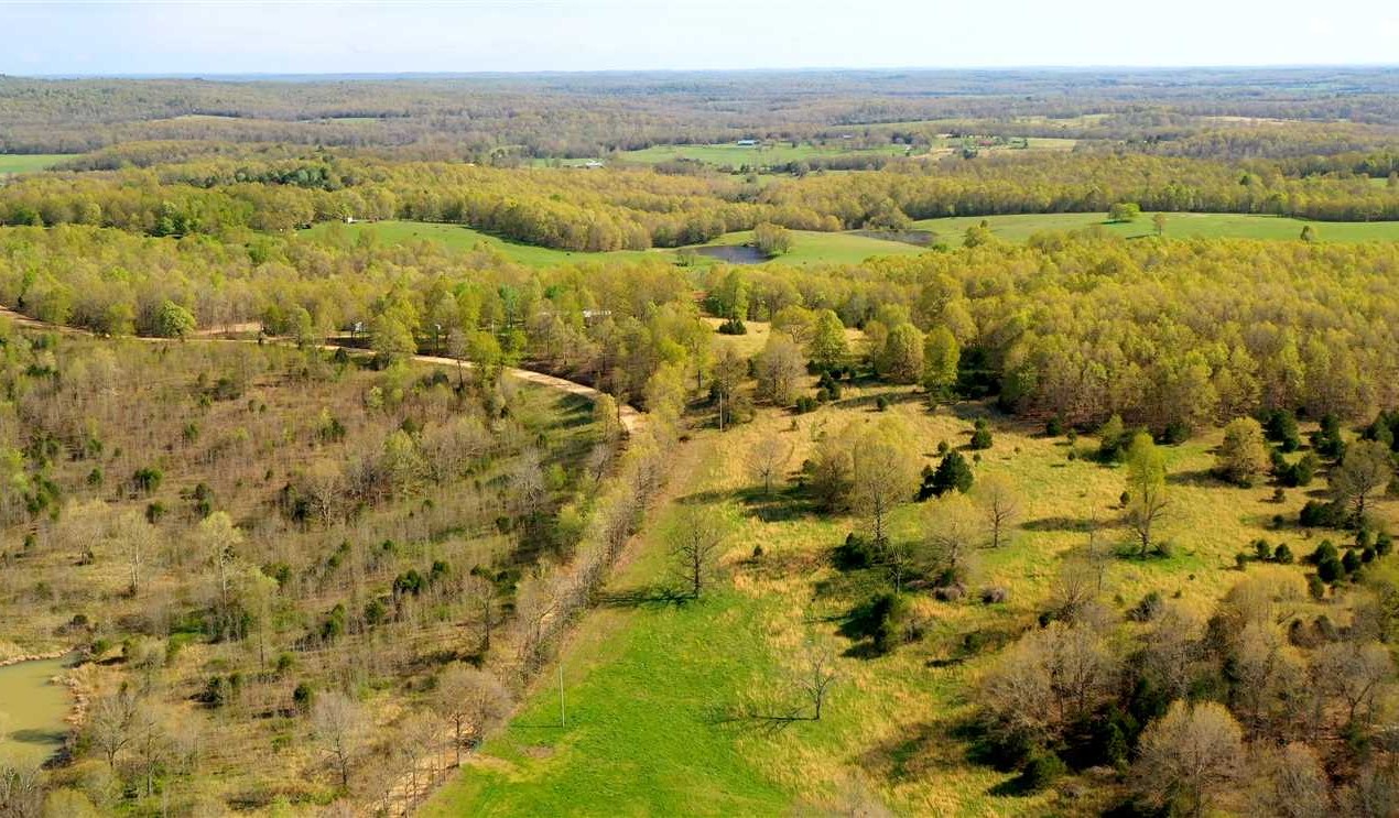 115 Acres of Land for sale in fulton County, Arkansas