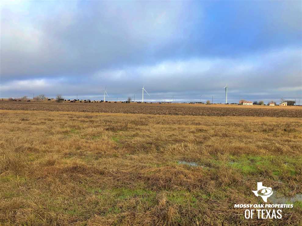 cooke County, Texas property for sale