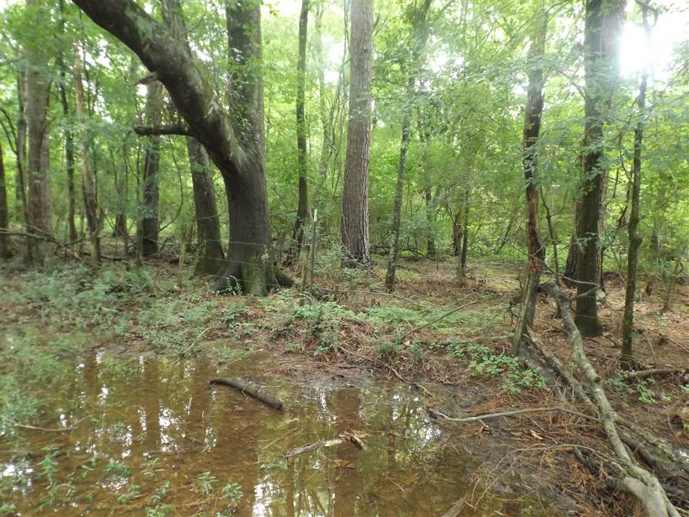 Land for sale to buy in 71646 zip code