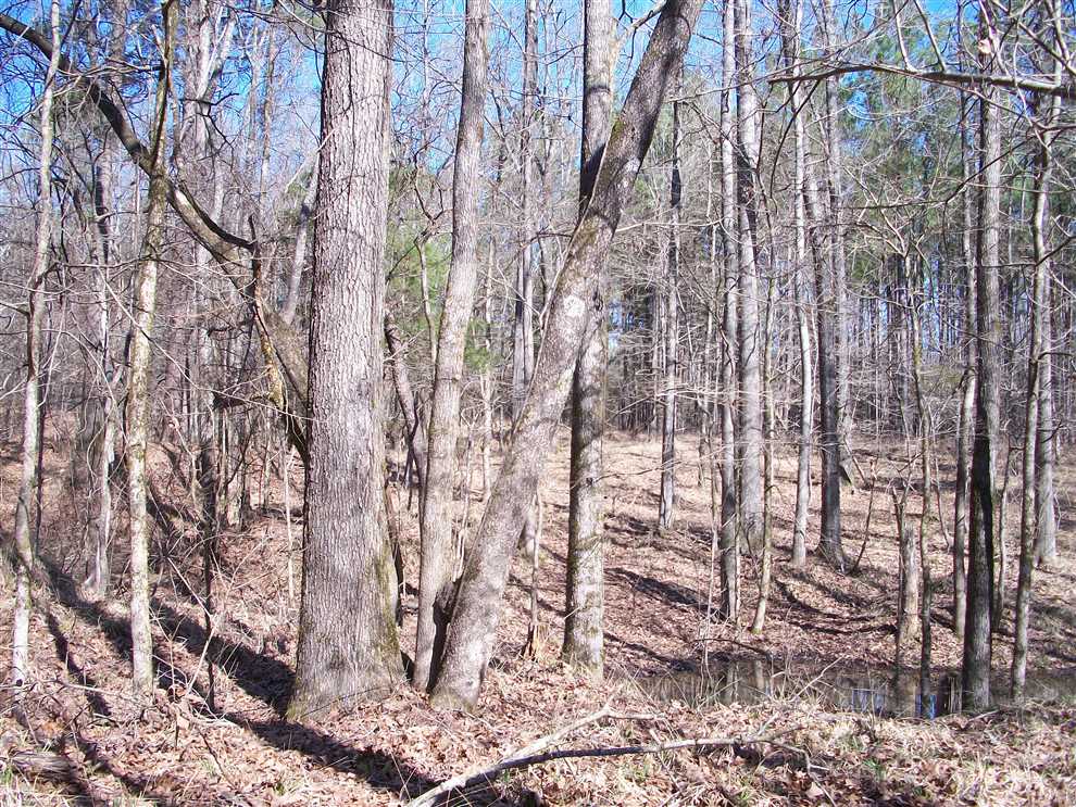1294.76 Acres of Recreational land for sale in Pattison, claiborne County, Mississippi