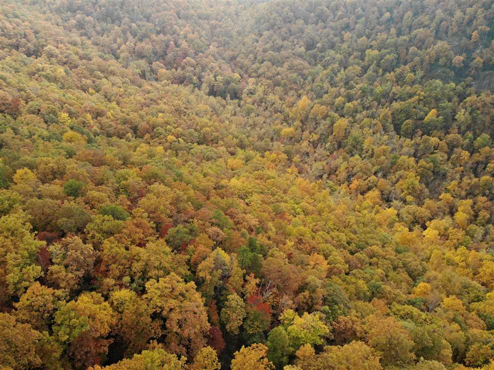 Property for sale at Tract 15 Kate Mountain Road