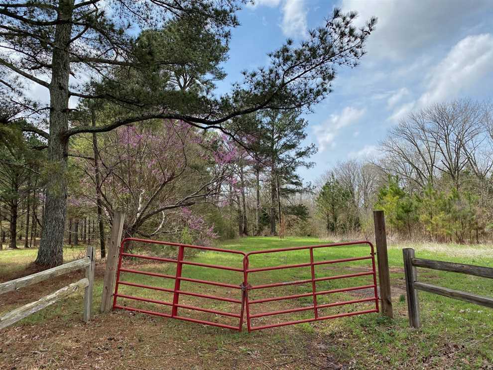 31.20 Acres, Lee County, Rd 41 Real estate listing