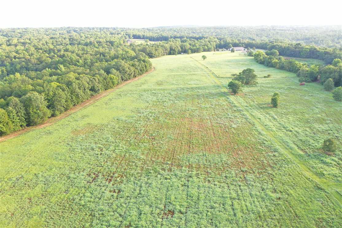 property for sale on The Land Market