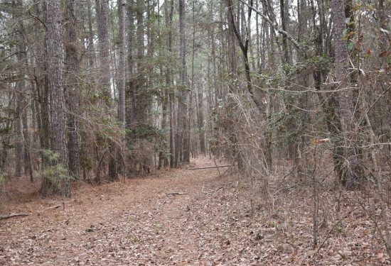 10 Acres of Land for Sale in nevada County Arkansas