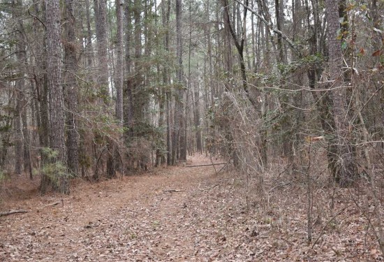 10 Acres of Land for Sale in nevada County Arkansas